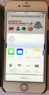 iphone safari menu.jpeg